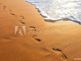 AdobeStock_51453252_Preview